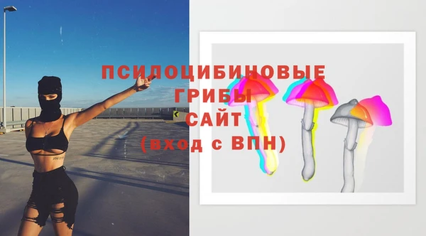 СК Горняк