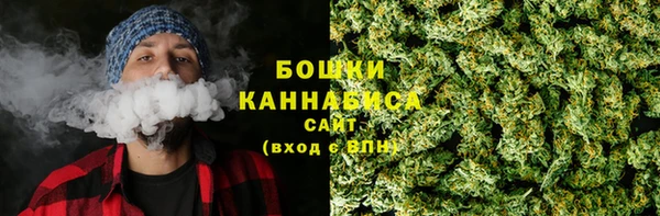 СК Горняк