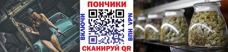 Конопля сатива  Купить где  Котлас 